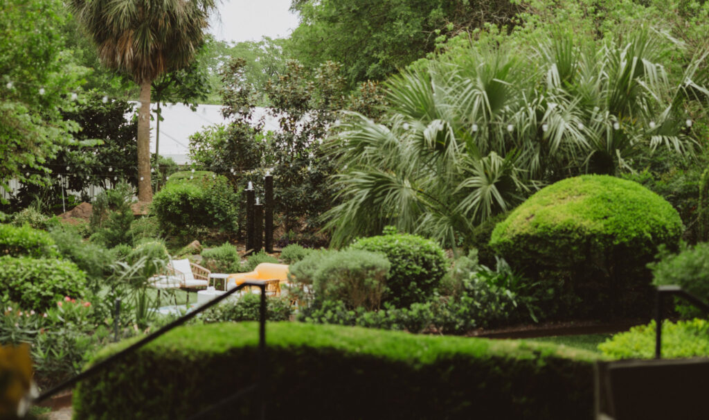 View of a tropical garden with palm trees, manicured bushes, and outdoor lounge seating in the distance.